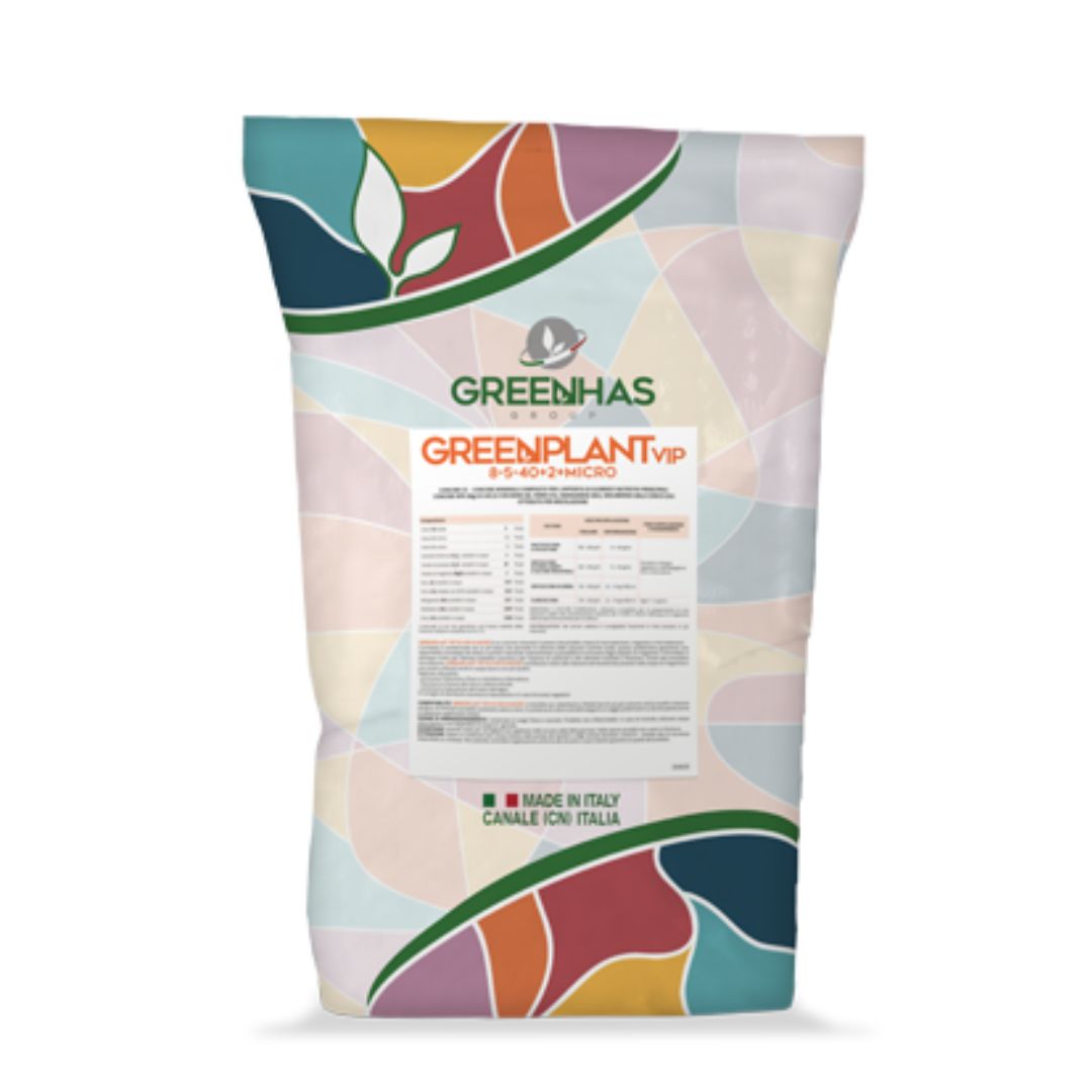 xr:d:DAFcbYtatzA:12,j:499030401,t:23030915